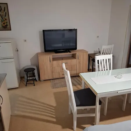 Koticek & Catez & Paradiso Apartment Brežice